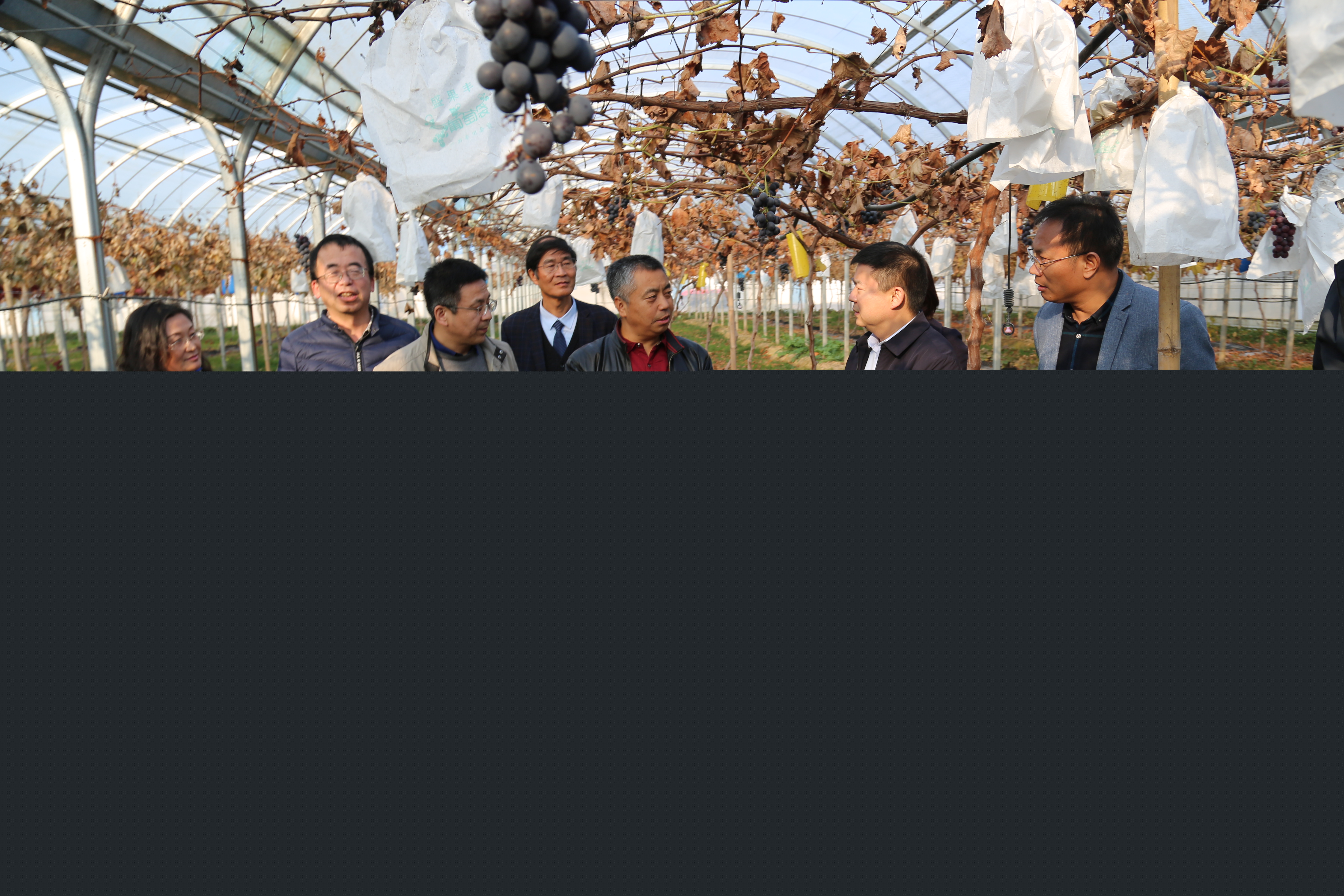 c7d3de06428d43799a92868f5ddb50c7.jpg