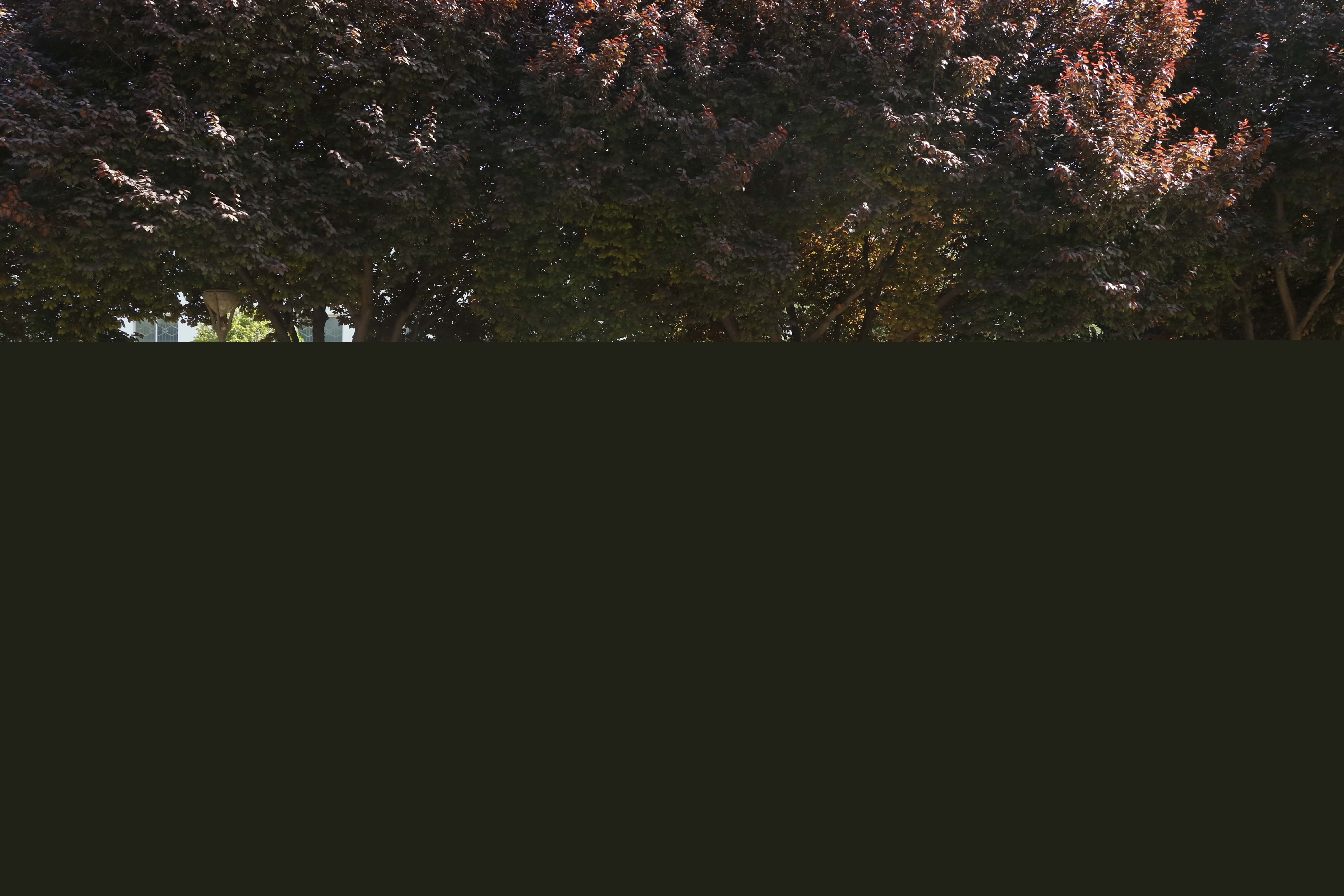 480cde67d4dd4b058a2d30347c0761f9.jpg
