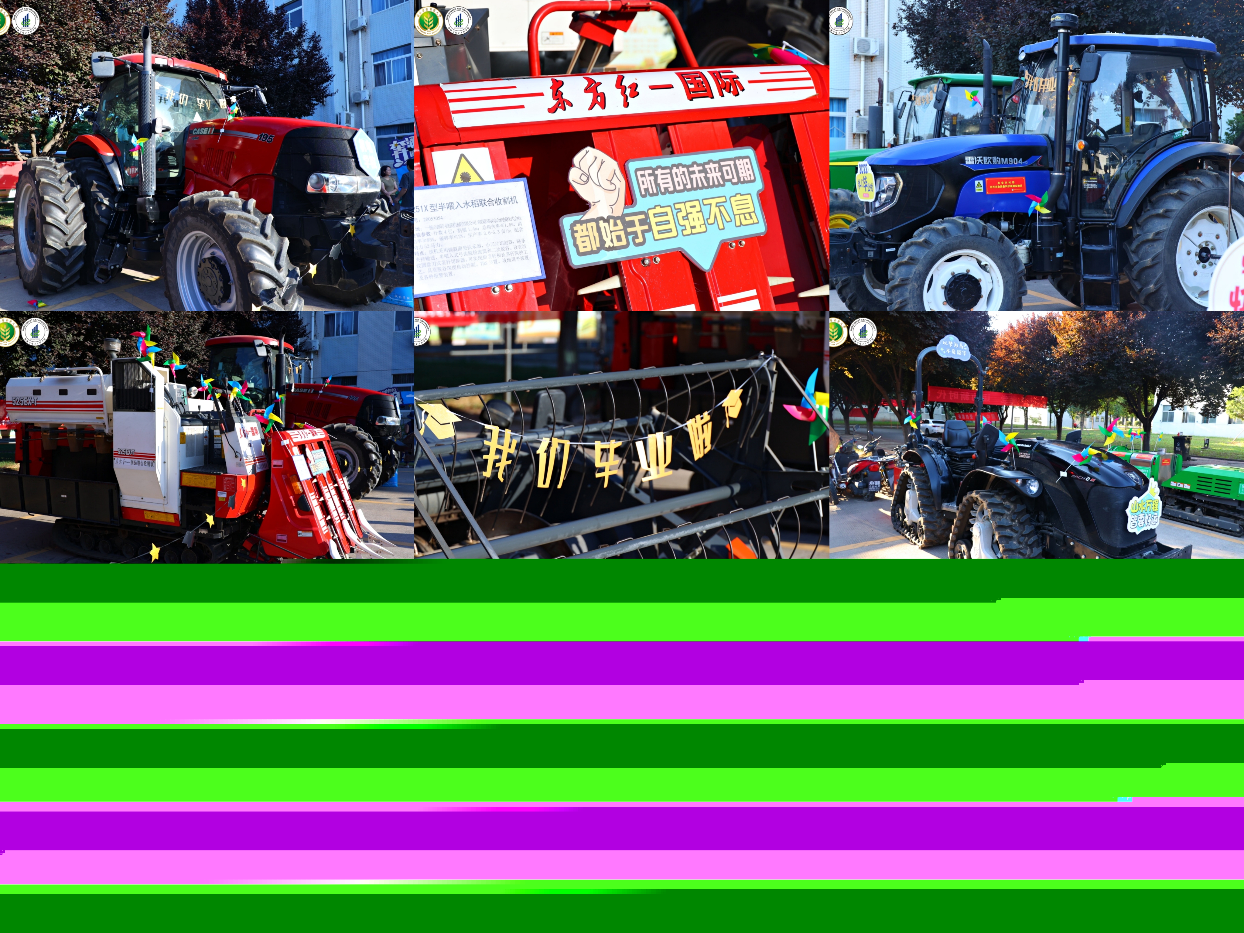 c0c9ad5abc844b6b88fa72c604059798.jpg