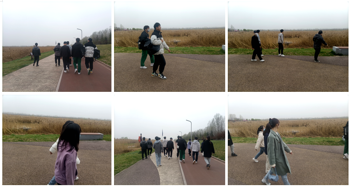 791bb0e940fe474a95282109cc907c37.png 791bb0e940fe474a95282109cc907c37.png